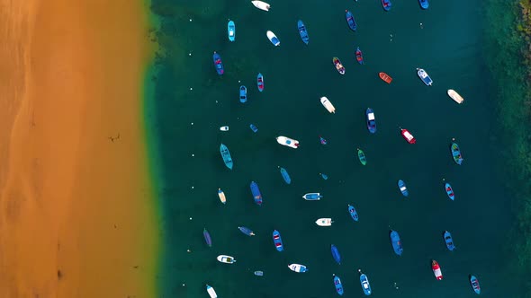 Aerial View of the Golden Sand of the Beach Las Teresitas and Colorful Boats Moored Alongside a