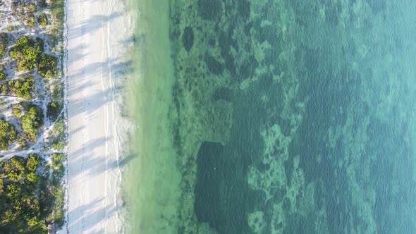 Vertical Video of the Ocean Near the Coast of Zanzibar Tanzania Aerial View