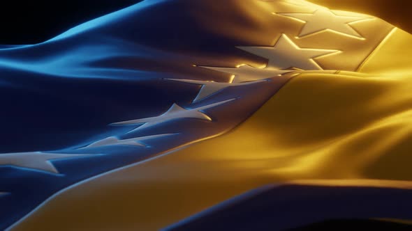 Bosnia and Herzegovina - Stylized Flag