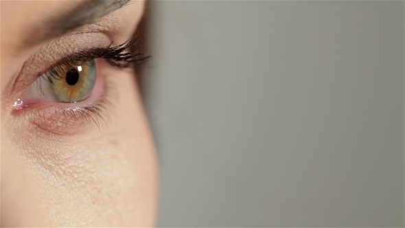 Green Woman Eye Isolated On a Gray Background alt