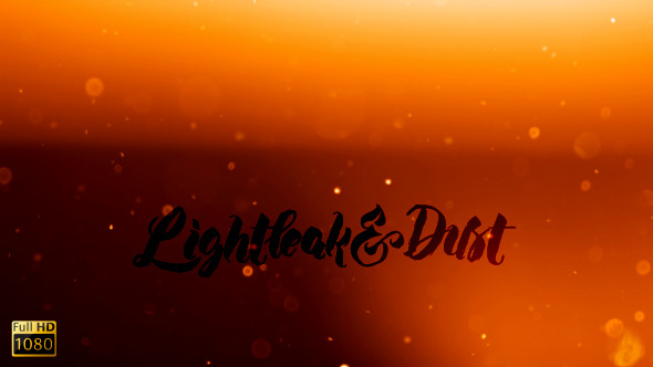 Light Leak & Dust