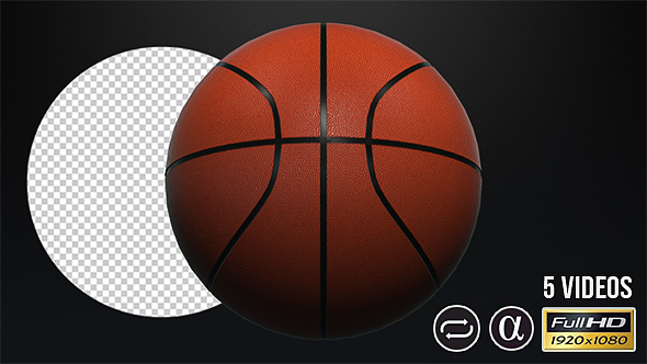 Basketball Ball - 5 Pack