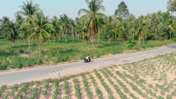 Girl Rides Along Asphalt Road Among Green Palm Forest