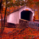 Covered Bridge - VideoHive Item for Sale