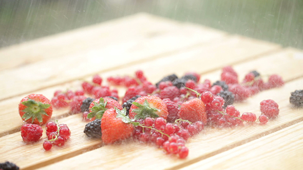 Fresh Berry In The Rain