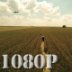 Flying Over Girl Playing Piano in Wheat Field 4 - VideoHive Item for Sale