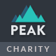 Peak - Charity Nonprofit WordPress Theme - ThemeForest Item for Sale