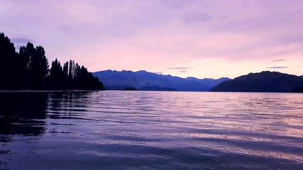 Wanaka Tree scenery