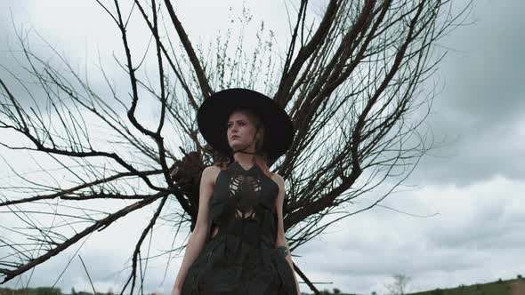 Portrait Of Pretty Blonde In Black Hat. Girl Stands Under Big Dry Tree.