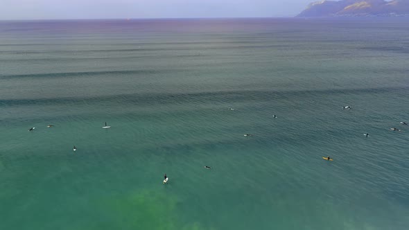 Tourists surfing in the sea during sunset