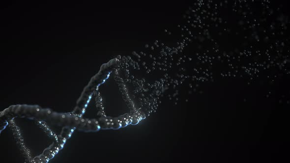 Destructing Black DNA Molecule