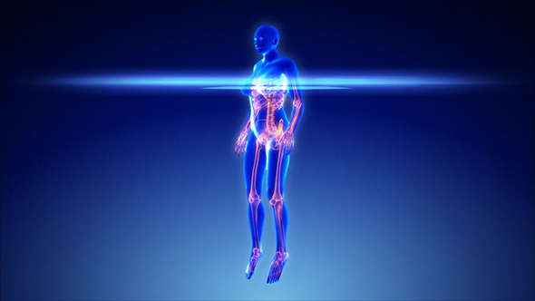 Female Body Scan alt