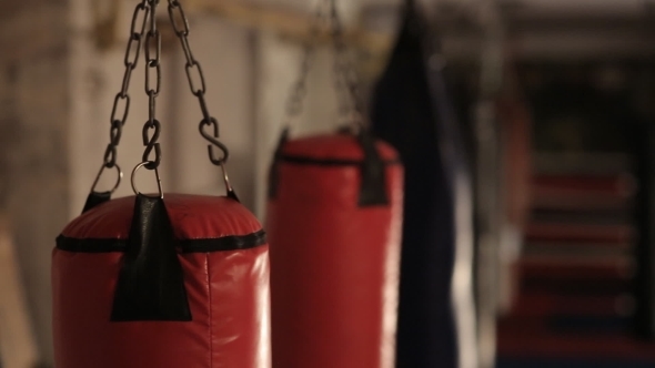 Punching Bags In A Dark Gym
