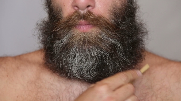 Lush Beard And Mustache