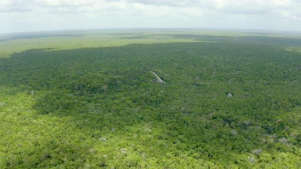 Aerial View of the Mexican Jungle From Above