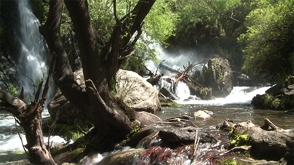 The Wilds Of Argentina