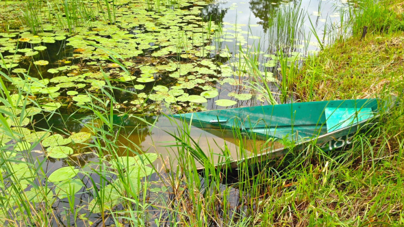 Sunken Boat