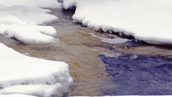 Icy Forest River in a Cold Day