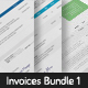 Professional Invoice Templates Bundle 1 - GraphicRiver Item for Sale