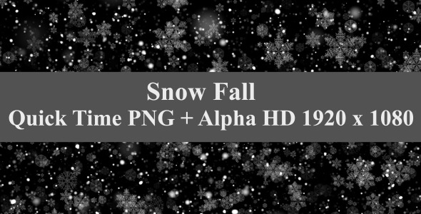 Snow Fall 