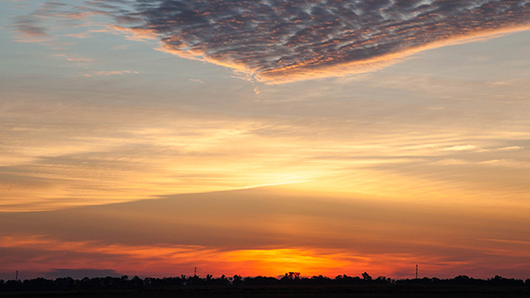 Sunrise in the Field