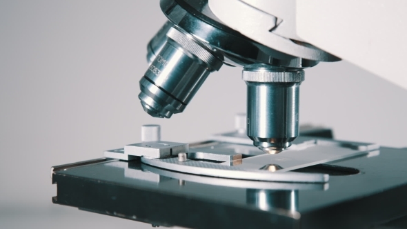 Scientist Using a Microscope In Laboratory