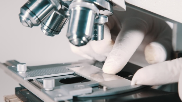 Scientist Using a Microscope In Laboratory