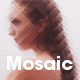 Mosaic - 2D Blurred Pixel Triangulation - GraphicRiver Item for Sale