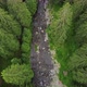Top Down View of Green Pine Forest and Wild River with Rapids on a Sunny Day - VideoHive Item for Sale