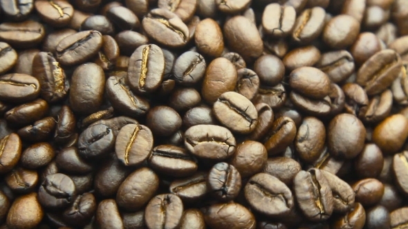 Roasted Coffee Beans