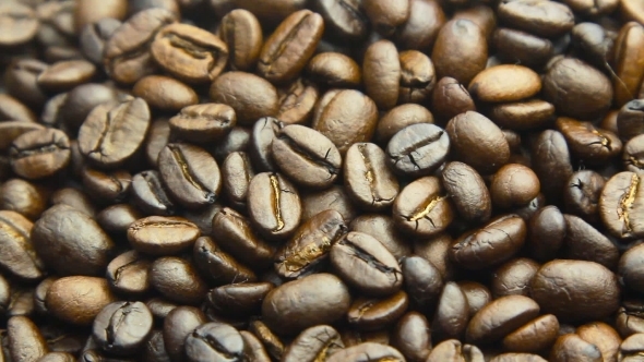 Roasted Coffee Beans