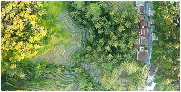 Highland Gorge in the Jungle Aerial 6