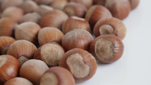 Organic  hazelnuts on white background slow pan 4K 2160p 30fps UltraHD footage - Whole nuts of Coryl