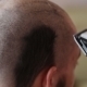 The Guy At The Barber Shave His Head Shaver - VideoHive Item for Sale