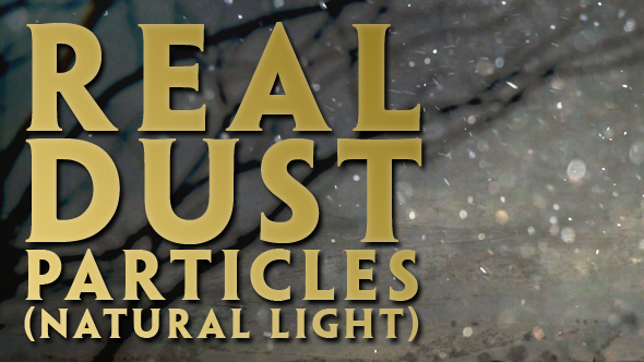 Real Dust Particles (Natural Light) alt