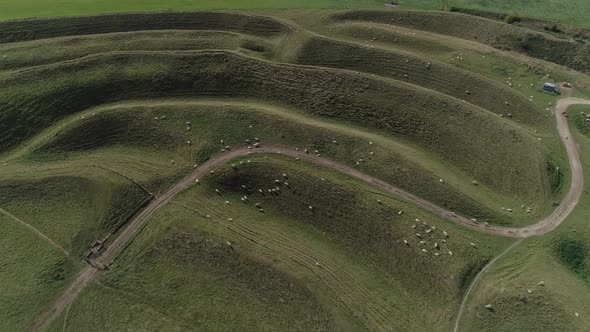 Aerial tracking towards and over the western gate ramparts at Maiden castle. Sheep are scattered amo