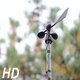 Wind Speed and Direction Instrument  - VideoHive Item for Sale