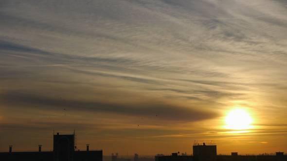 Birds Against Golden Sky At Dawn