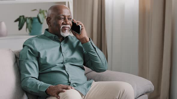 African Bald Middleaged Man Senior Mature Businessman Sitting on Sofa at Home in Office Talking