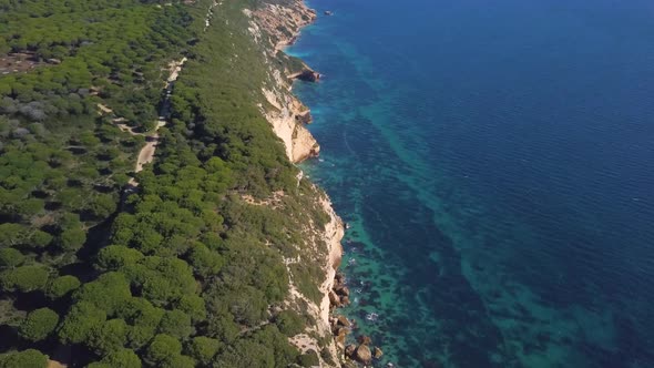 Aerial view of a big cliff full of pines in the mediterranean coast of Spain.