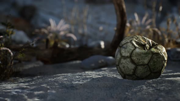 An Old Torn Soccer Ball Thrown Lies on Sand of Sea Beach alt