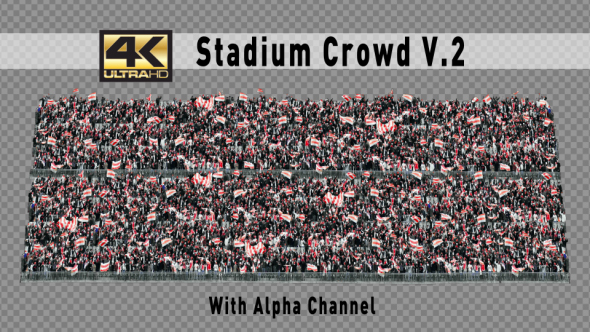 Stadium Crowd V2