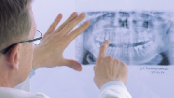 Dentist Looking At Dental X-ray Plate