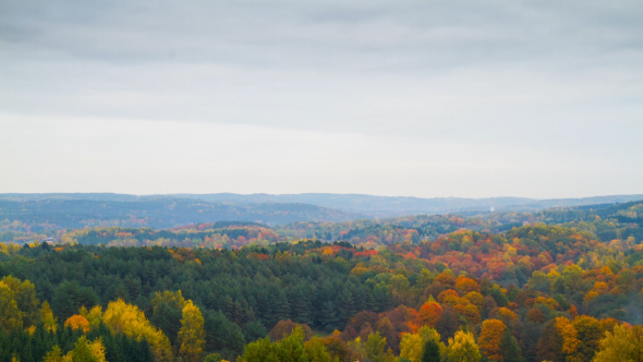 Autumn Landscape