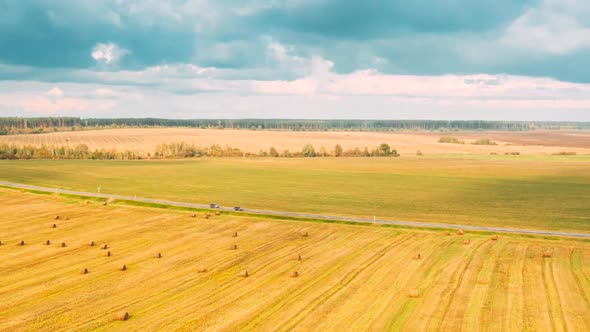 Rural Landscape Field With Hay Bales Rolls After Harvest