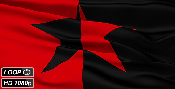 Red and Black Star Flag