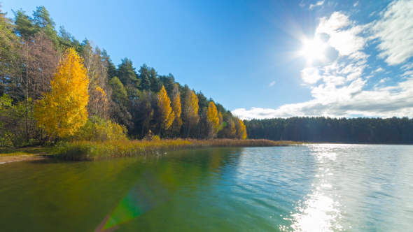 Autumn Forest And Lake