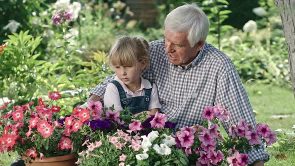 Elderly Man and Little Girl Looking at Flowers