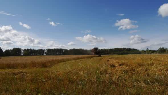 Harvester Combine Harvesting Wheat on Sunny