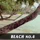 Beach No.4 - VideoHive Item for Sale
